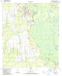 Download a high-resolution, GPS-compatible USGS topo map for Wewahitchka, FL (1990 edition)