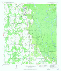 Download a high-resolution, GPS-compatible USGS topo map for Wewahitchka, FL (1960 edition)