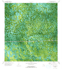Download a high-resolution, GPS-compatible USGS topo map for Whidden Lake, FL (1993 edition)