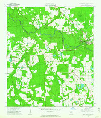 preview thumbnail of historical topo map of Suwannee County, FL in 1961