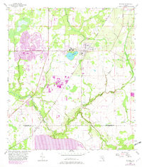Download a high-resolution, GPS-compatible USGS topo map for Wimauma, FL (1982 edition)