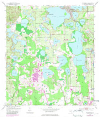 Download a high-resolution, GPS-compatible USGS topo map for Windermere, FL (1981 edition)