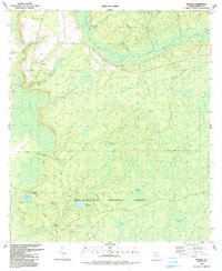 Download a high-resolution, GPS-compatible USGS topo map for Woods, FL (1990 edition)