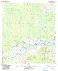 Download a high-resolution, GPS-compatible USGS topo map for Yankeetown SE, FL (1991 edition)