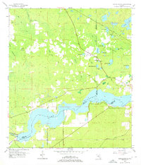Download a high-resolution, GPS-compatible USGS topo map for Yankeetown SE, FL (1976 edition)