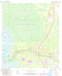 Download a high-resolution, GPS-compatible USGS topo map for Yankeetown, FL (1993 edition)