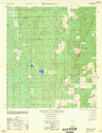 Download a high-resolution, GPS-compatible USGS topo map for Bronson SE, FL (1957 edition)