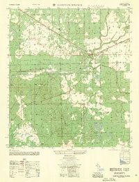 preview thumbnail of historical topo map of Taylor County, FL in 1956