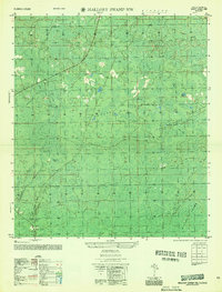 preview thumbnail of historical topo map of Lafayette County, FL in 1956