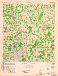 1949 Map of Odessa, FL