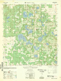 Download a high-resolution, GPS-compatible USGS topo map for Spring Lake, FL (1981 edition)