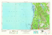 1955 Map of Plant City, 1966 Print