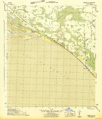 Download a high-resolution, GPS-compatible USGS topo map for Beacon Hill, FL (1944 edition)