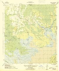 Download a high-resolution, GPS-compatible USGS topo map for Beverly, FL (1945 edition)