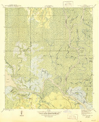 Download a high-resolution, GPS-compatible USGS topo map for Jackson River, FL (1945 edition)