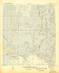 Download a high-resolution, GPS-compatible USGS topo map for Jackson River, FL (1945 edition)