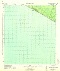 preview thumbnail of historical topo map of Laguna Beach, FL in 1943
