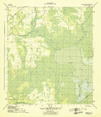 preview thumbnail of historical topo map of Gulf County, FL in 1945