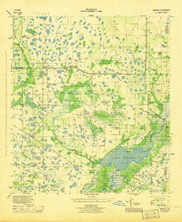 preview thumbnail of historical topo map of Sarasota County, FL in 1944