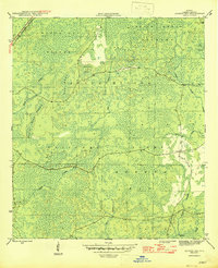 preview thumbnail of historical topo map of Liberty County, FL in 1946