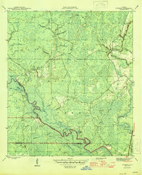 Download a high-resolution, GPS-compatible USGS topo map for Sanborn, FL (1945 edition)