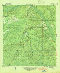 Download a high-resolution, GPS-compatible USGS topo map for Telogia, FL (1946 edition)