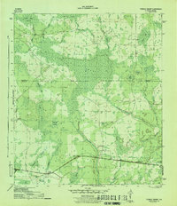 Download a high-resolution, GPS-compatible USGS topo map for Tenmile Swamp, FL (1945 edition)