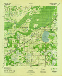 Download a high-resolution, GPS-compatible USGS topo map for Thonotosassa, FL (1944 edition)