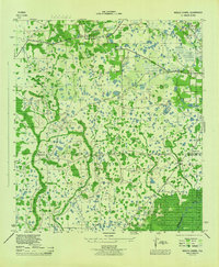 Download a high-resolution, GPS-compatible USGS topo map for Wesley Chapel, FL (1944 edition)