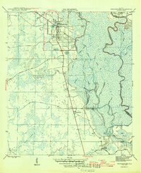 Download a high-resolution, GPS-compatible USGS topo map for Wewahitchka, FL (1945 edition)