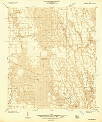 1937 Map of Flagler County, FL