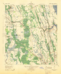 Download a high-resolution, GPS-compatible USGS topo map for Dinner Island, FL (1944 edition)