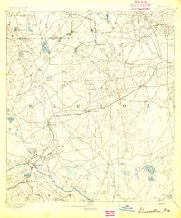 preview thumbnail of historical topo map of Dunnellon, FL in 1894