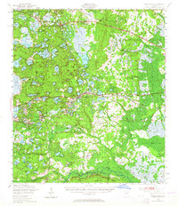 preview thumbnail of historical topo map of Interlachen, FL in 1949