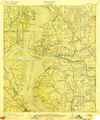 preview thumbnail of historical topo map of Orange Park, FL in 1918