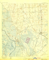 1895 Map of Panasoffkee, 1903 Print