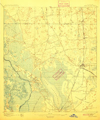 1895 Map of Panasoffkee, 1910 Print