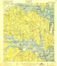 preview thumbnail of historical topo map of Nassau County, FL in 1919