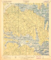 preview thumbnail of historical topo map of St. Marys, GA in 1919