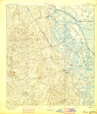 1895 Map of Tsala Apopka
