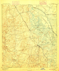 1895 Map of Tsala Apopka, 1910 Print