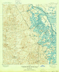 historical topo map of Citrus County, FL in 1895