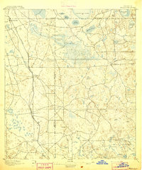 preview thumbnail of historical topo map of Williston, FL in 1895