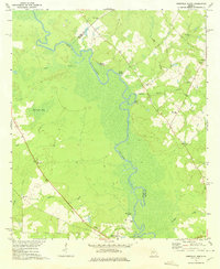 1972 Map of Pulaski County, GA, 1975 Print