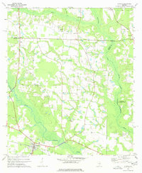 1977 Map of Alapaha, GA