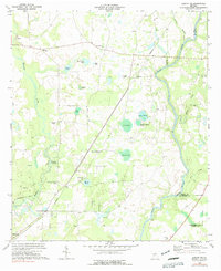 Download a high-resolution, GPS-compatible USGS topo map for Albany NE, GA (1991 edition)