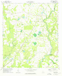 Download a high-resolution, GPS-compatible USGS topo map for Albany NE, GA (1975 edition)