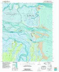 Download a high-resolution, GPS-compatible USGS topo map for Altamaha Sound, GA (1995 edition)