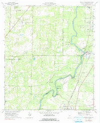 1974 Map of Baconton, GA, 1991 Print