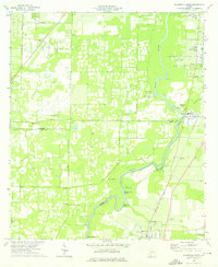 Download a high-resolution, GPS-compatible USGS topo map for Baconton North, GA (1976 edition)